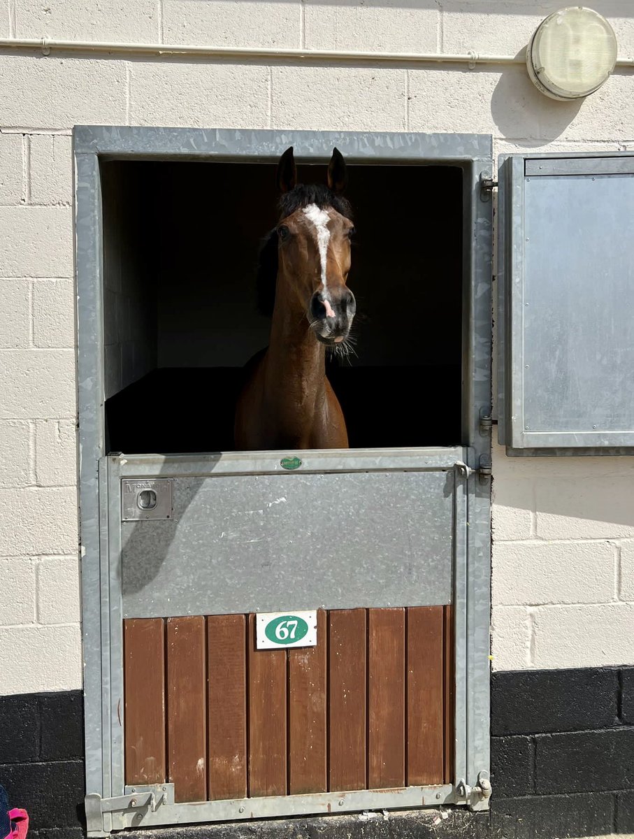 O’BrienMcPherson Racing on Twitter "Call Me Tara safely back in the