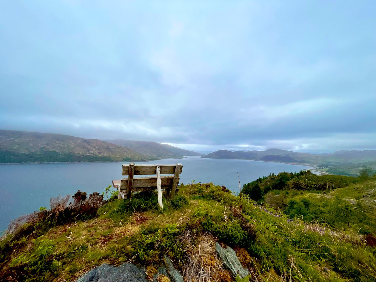 Robin Smith tweet media