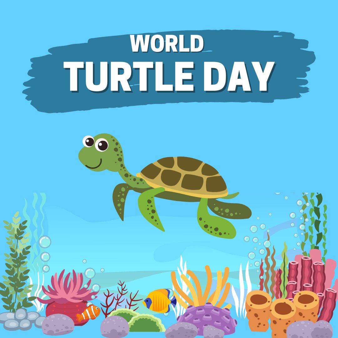 readingreadine1's tweet photo. 🐢 Happy World Turtle Day! 🌍 Today, we celebrate these incredible creatures and raise awareness about the importance of their conservation.   #WorldTurtleDay #ConservationMatters #ReadingReadiness #LoveForTurtles https://t.co/36A4PBiESc