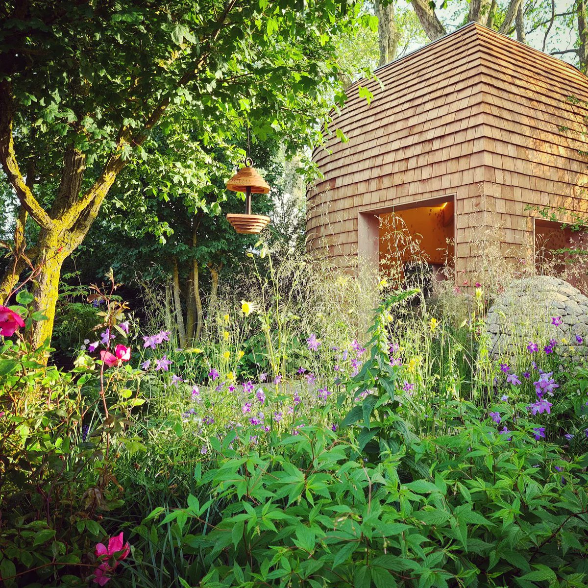 Dr Suzanne Moss🌱🏳️🌈 📚 (@drsuemoss) on Twitter photo AMAZING! Best in show at #RHSChelsea for my fave (don't tell the others) Horatio's Garden by <a href="/HarrisBugg/">Harris Bugg Studio</a> . 😍😍
Incredible garden, exquisite planting, cool path, sustainable credentials, AMAZING impact. I love everything about it. Congratulations <a href="/charlotteharris/">Charlotte Harris 🏳️🌈🏳️⚧️</a> and Hugo Bugg 👏 AMAZING! Best in show at #RHSChelsea for my fave (don't tell the others) Horatio's Garden by <a href="/HarrisBugg/">Harris Bugg Studio</a> . 😍😍
Incredible garden, exquisite planting, cool path, sustainable credentials, AMAZING impact. I love everything about it. Congratulations <a href="/charlotteharris/">Charlotte Harris 🏳️🌈🏳️⚧️</a> and Hugo Bugg 👏