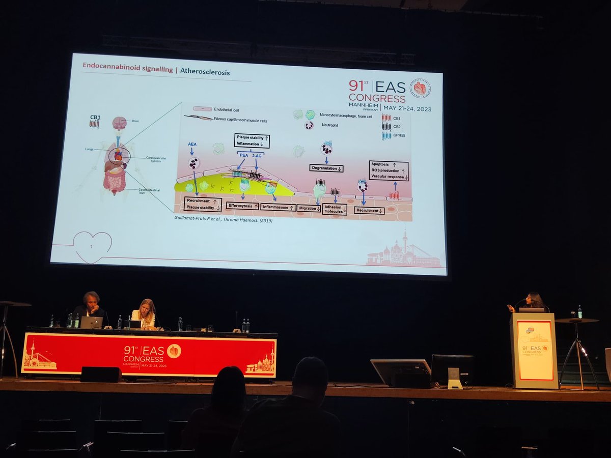 Updating knowledge for atherosclerosis-here we are in #91st EAS congress
