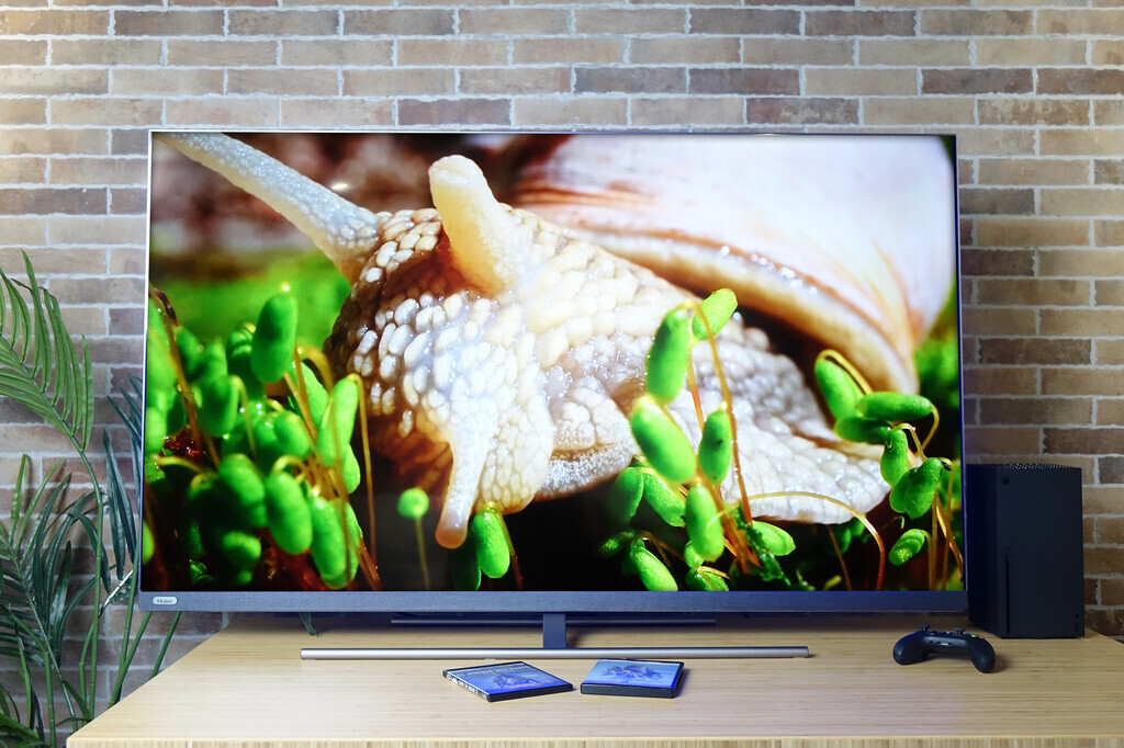 ElAmigoInformatico🏆💯 tweet media