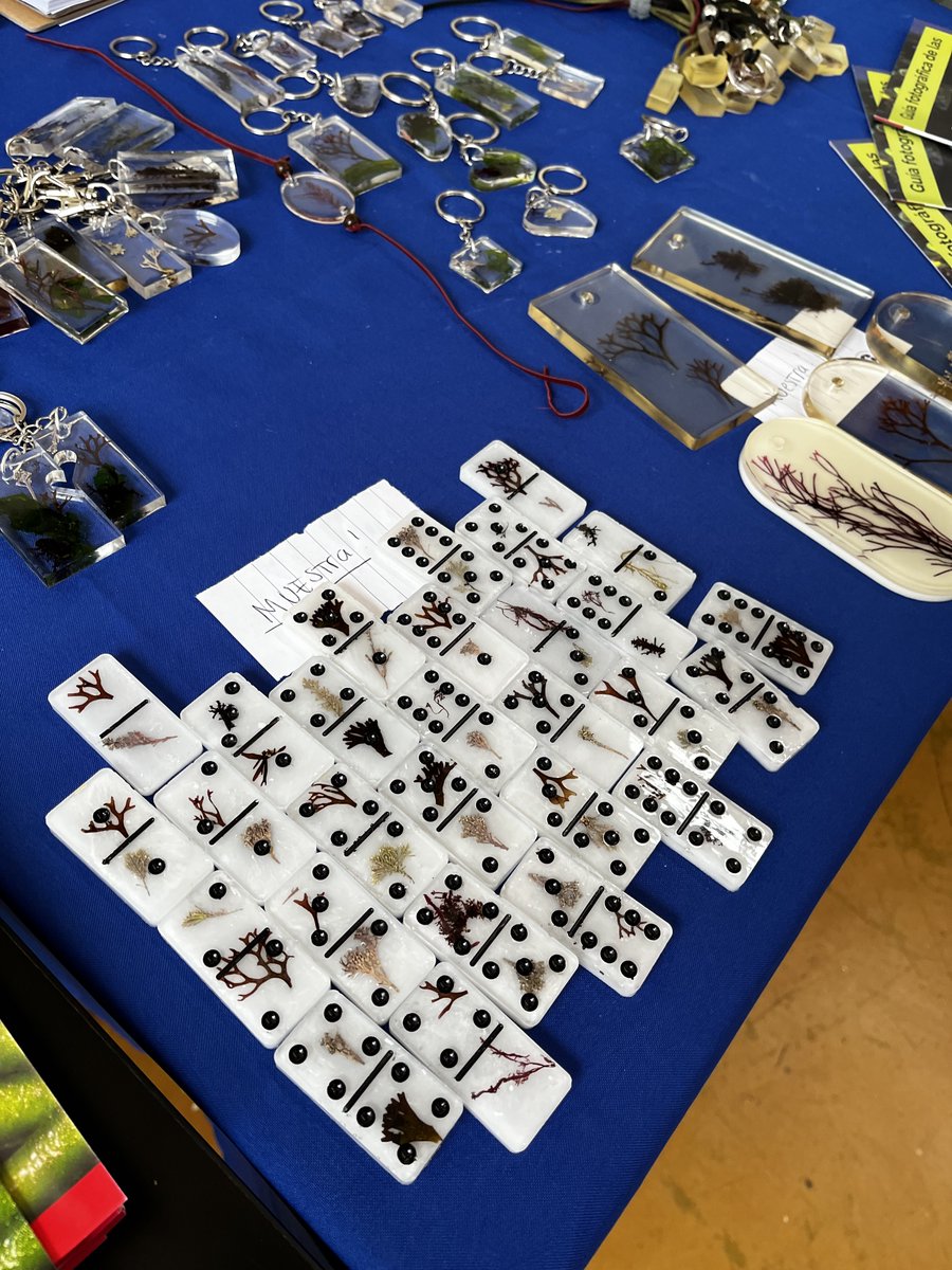 AlgaLab's tweet photo. Estás en el @CongresoCsMar ??
Pasen a visitar nuestro stand, tenemos guías fotográficas, posters y resina de algas marinas chilenas a la venta!! También póster Especies Marinas Invasoras gratis!! Y sorteo de libro y guía algas!! 😀😀
#ccmar #algas #algalab #arteyalgas https://t.co/O5Xq1Hr40o