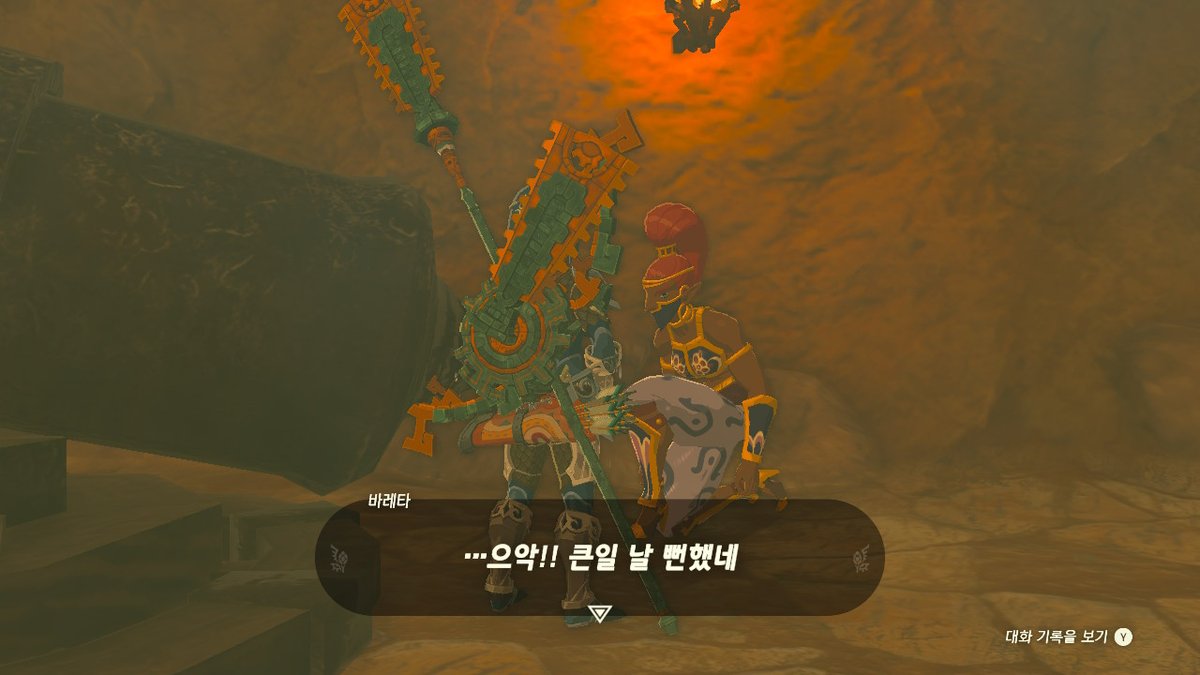 enviru_'s tweet image. #젤다의전설티어스오브더킹덤 #TearsOfTheKingdom #Zelda #NintendoSwitch