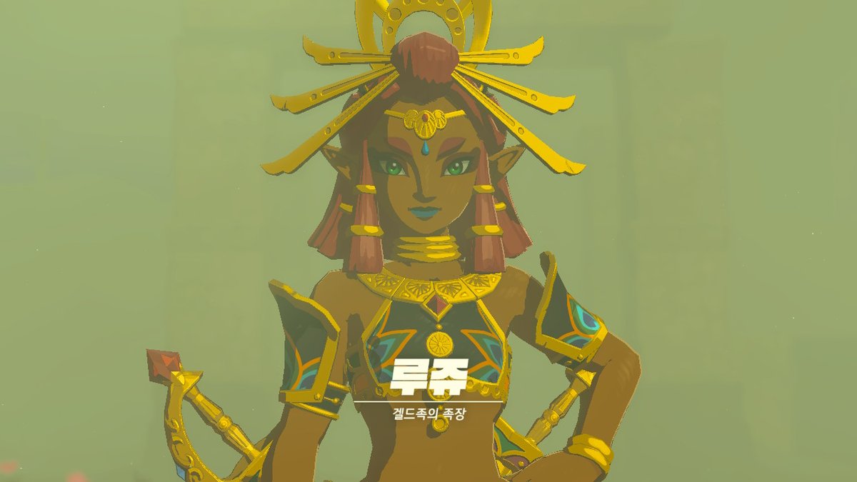 enviru_'s tweet image. #젤다의전설티어스오브더킹덤 #TearsOfTheKingdom #Zelda #NintendoSwitch