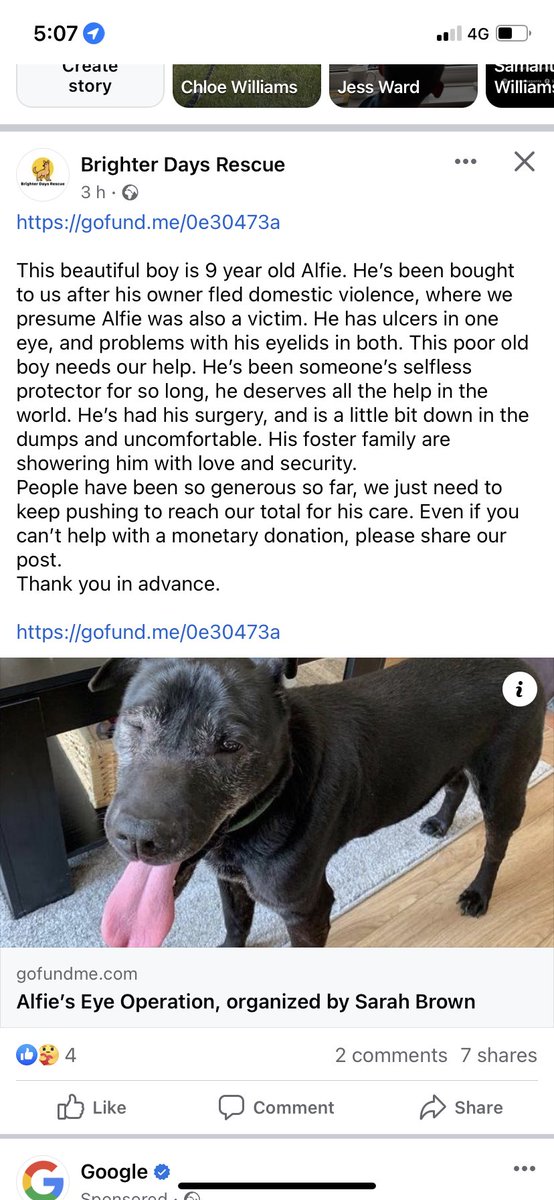 Please read. Our boy is in desperate need of help 💙 gofund.me/0e30473a