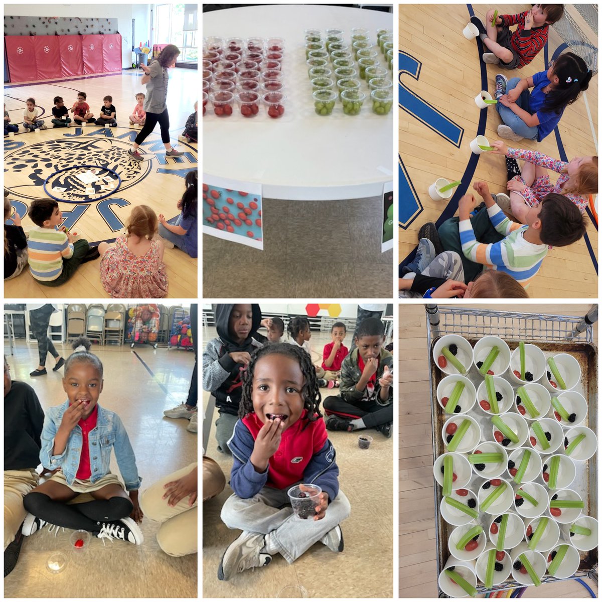 Our Kindergarten students <a href="/HendleyES/">Hendley Elementary</a> and <a href="/JanneySchool/">Janney School</a> learned the importance of eating fruits and vegetables in our <a href="/DCHPE/">DC HPE</a> Cornerstone Growing Vegetable Soup.  Students were then tasked with classifying items as fruits or vegetables and sorting them by color.  <a href="/dcpublicschools/">DC Public Schools</a>