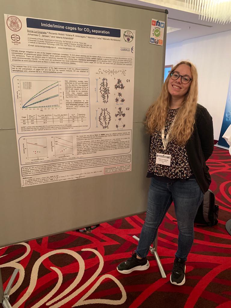 moca.project tweet media