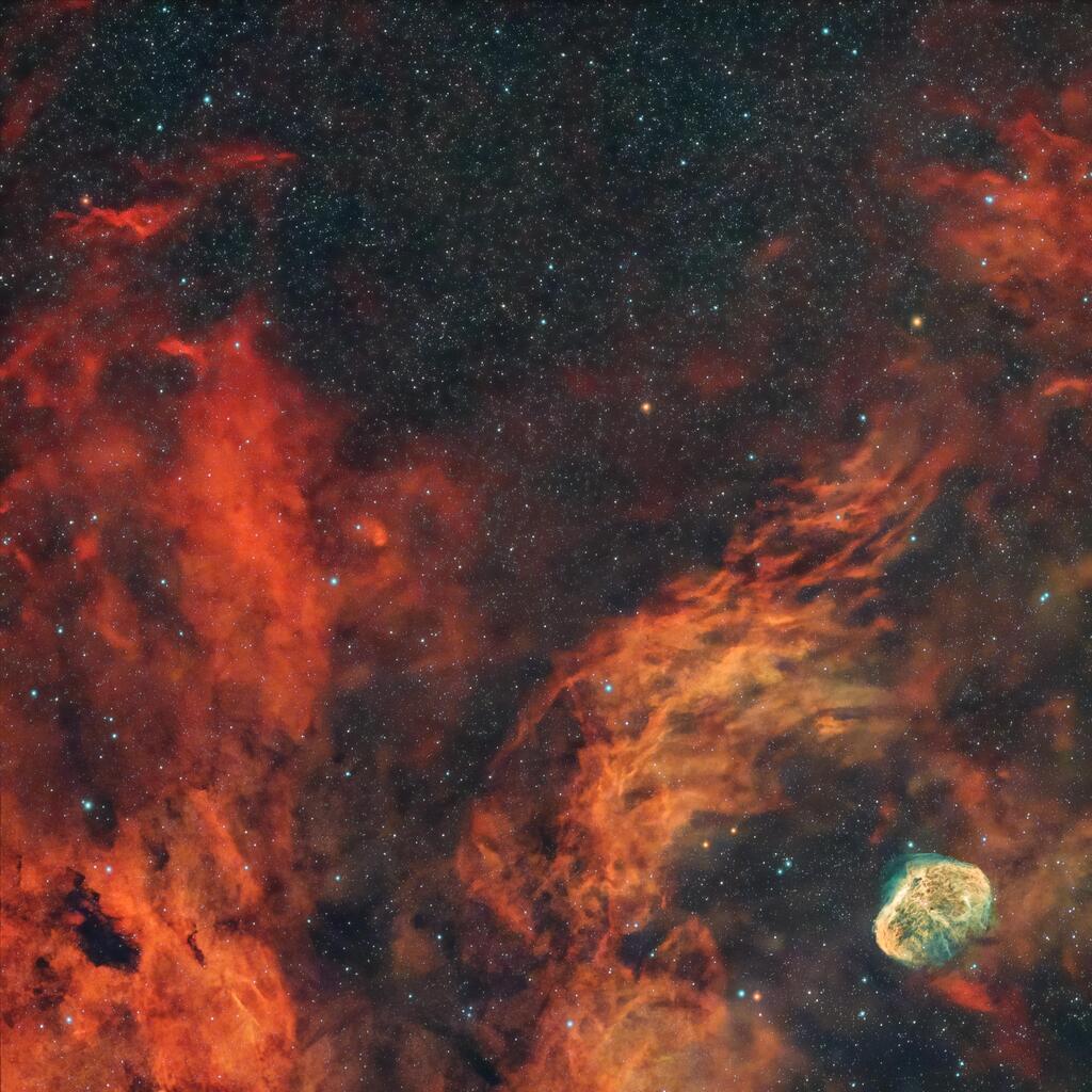 Astronomy Pictures tweet media