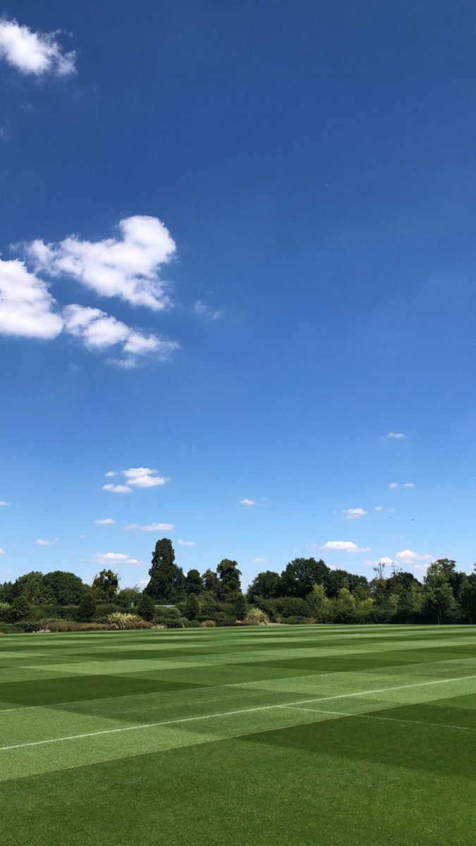 Harry Collison tweet media