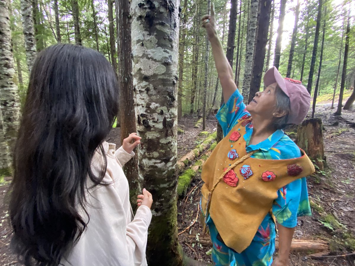 Join us May 27 on a complimentary forest & medicine walk in Stanley Park with Elder Lucille Joseph & Starla Bob. This complimentary workshop is for Indigenous women to reconnect. #indigenouswomen  #naturebased #communitybased #indigenouswomenoutdoors #talaysaytours  #repost