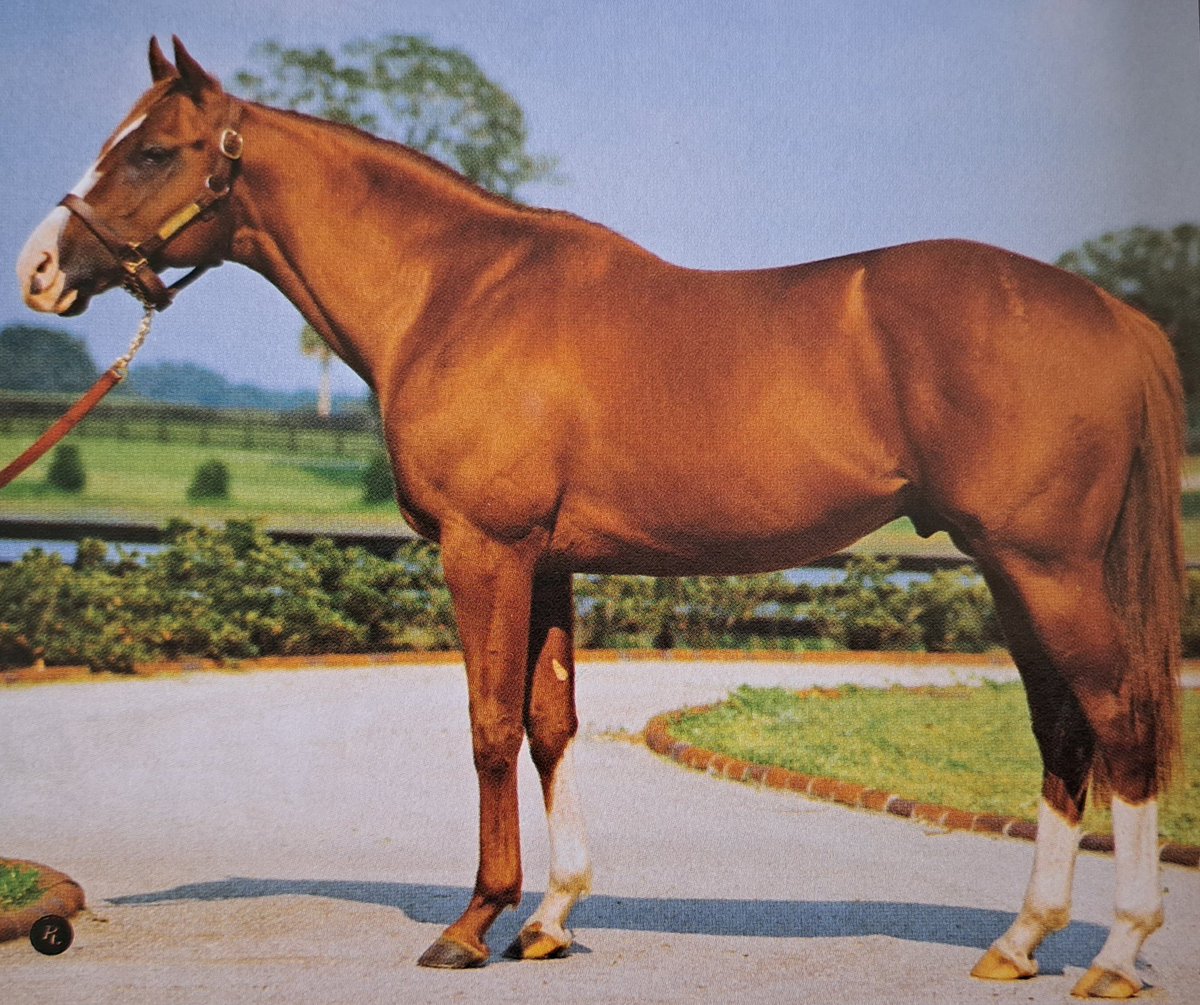 HORSERACING1002's tweet photo. FUTURE STORM 🇺🇸1990
(STORM CAT - SEA SANDS BY SEA-BIRD)
#FutureStorm
B/ Overbrook Farm (Ky) Feb 27, 1990.
O/ Lord White & Sir James Goldsmith.
T/ Richard J. Cross/ Frankel,
16-4-3-2---$330,927
Winner in France🇫🇷, Italy 🇮🇹 and USA 🇺🇸.
Will Rogers H G3, Baldwin S, https://t.co/cY5yL0rLU9