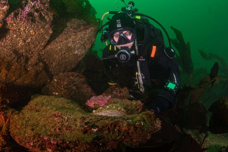 NOAA Fisheries tweet media