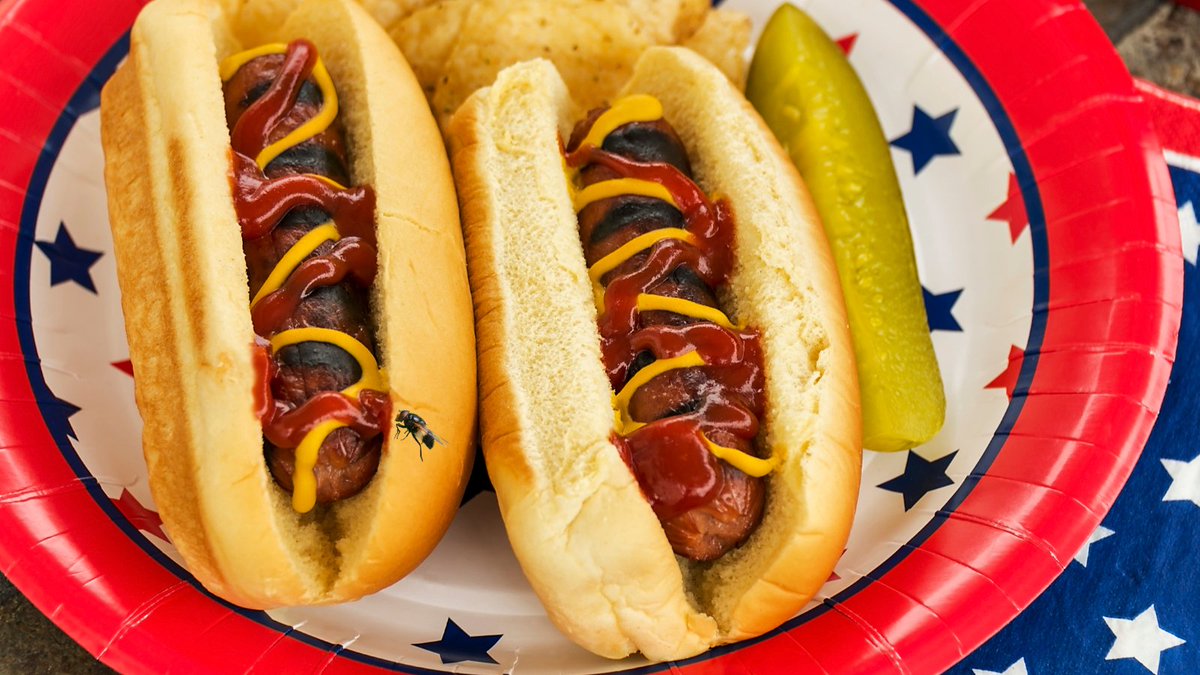 USDAFoodSafety's tweet photo. 🧵1/2:  An insect  landing on your hot dog may be a visible annoyance, but the invisible threat of harmful bacteria forming in the heat is just as real. Don’t let your outdoor meal become a feast for bacteria. 🌭🦠 https://t.co/Dx8G2RFMmm