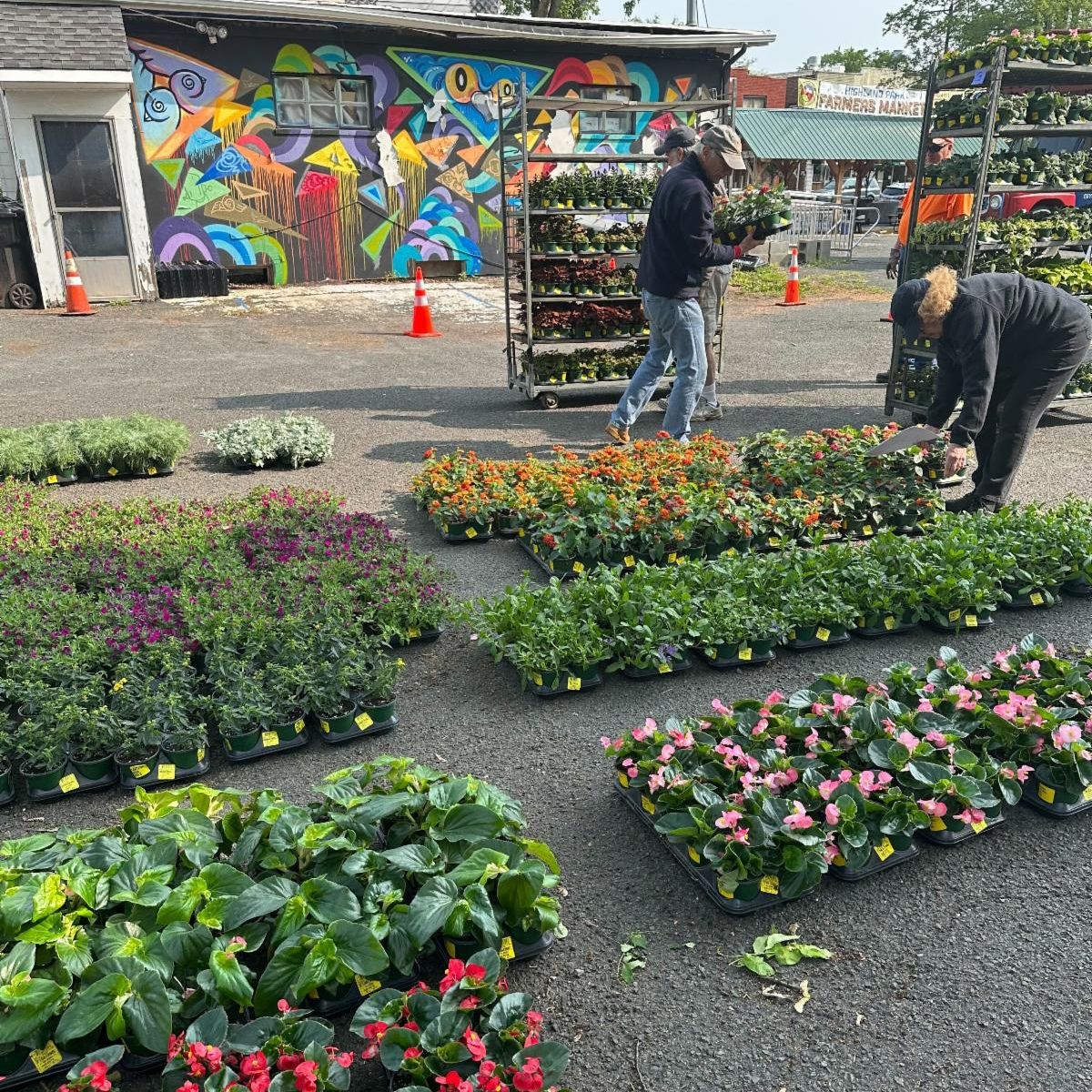 MainStreetHP's tweet photo. Downtown Planting Days: Thurs May 25 3-7pm &amp; Fri May 26 11am-6pm. Help plant the downtown planters! Show up outside 212 Raritan Ave during those times and we'll show you what to do. No experience needed! Bring gloves and a hand trowel if you have them.

h
https://t.co/oiRqNajUxa https://t.co/fHb0aq0DeD