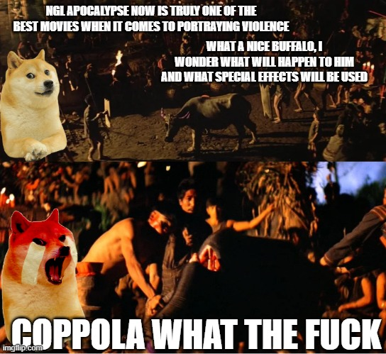 rDogeLore's tweet photo. Le "Yes, animals were harmed in the making of this film" has arrived | u/Cynikus | https://t.co/NZQpePGSos https://t.co/g8sJM10byC