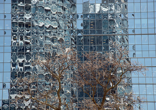 stephenkemms's tweet photo. New artwork for sale! - "Tree and a Skyscraper Print" - https://t.co/2SUJQOkgIT @fineartamerica https://t.co/NIKiskb5W2