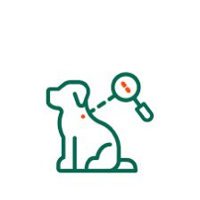 _Nikki_Taylor_'s tweet image. I’m seeing so many found dogs with unregistered chips lately. If you’ve never checked if yours is registered with the microchip company, please do so. Also worth getting your vet to scan your dog periodically to make sure the chip is still working and hasn’t moved #checkyourchip