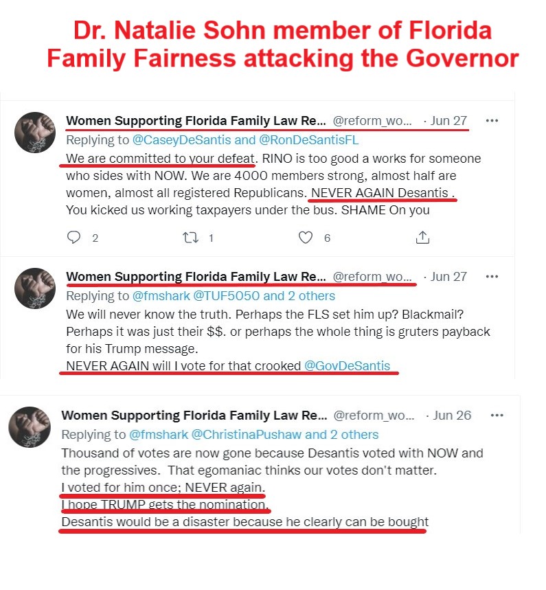 MsBlakeTaylor's tweet photo. @equity_dignity @CaseyDeSantis @ErinMPerrine @ChristinaPushaw @Clay_Yarborough @TraciLKoster @LaurenMeloFL @PeterSchorschFL Florida Family Fairness Chair &amp; members posted vile tweets to/about @GovRonDeSantis &amp; @CaseyDeSantis after the bill was vetoed last year. "Get ready to move in November Ron."  "Trump for President."  They brutalized @Kathleen4SWFL too.  They endlessly called the bar corrupt https://t.co/fkJKLMpqvh