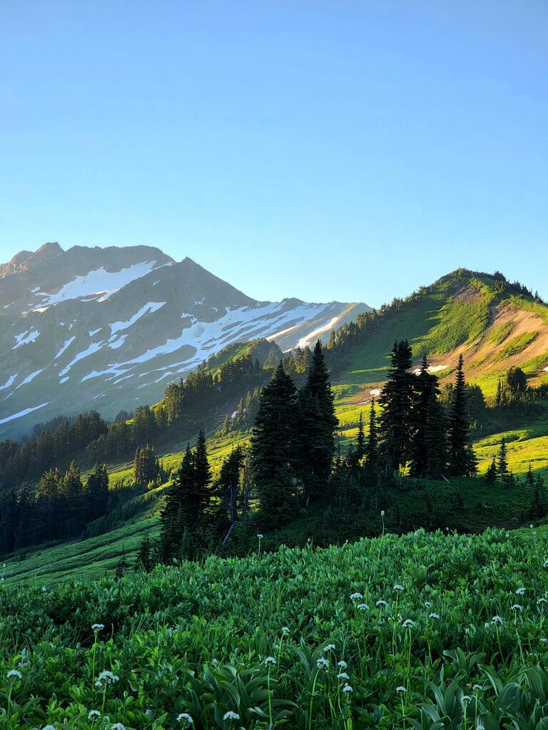 CranfordsRefrig's tweet image. Glacier Peak Wilderness [OC][3000x4000] ift.tt/ecuH6kL #Beauty