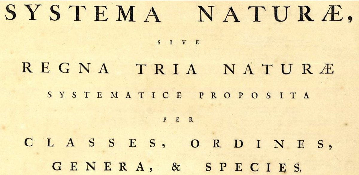 SocBotMex's tweet photo. Un día como hoy pero de 1707, nace en Upsala, Suecia Carl Nilsson Linnaeus o Carlos Linneo. Fundador de la Taxonomía moderna.
¡Feliz 316 aniversario de su natalicio! https://t.co/KjOqBmRCaF