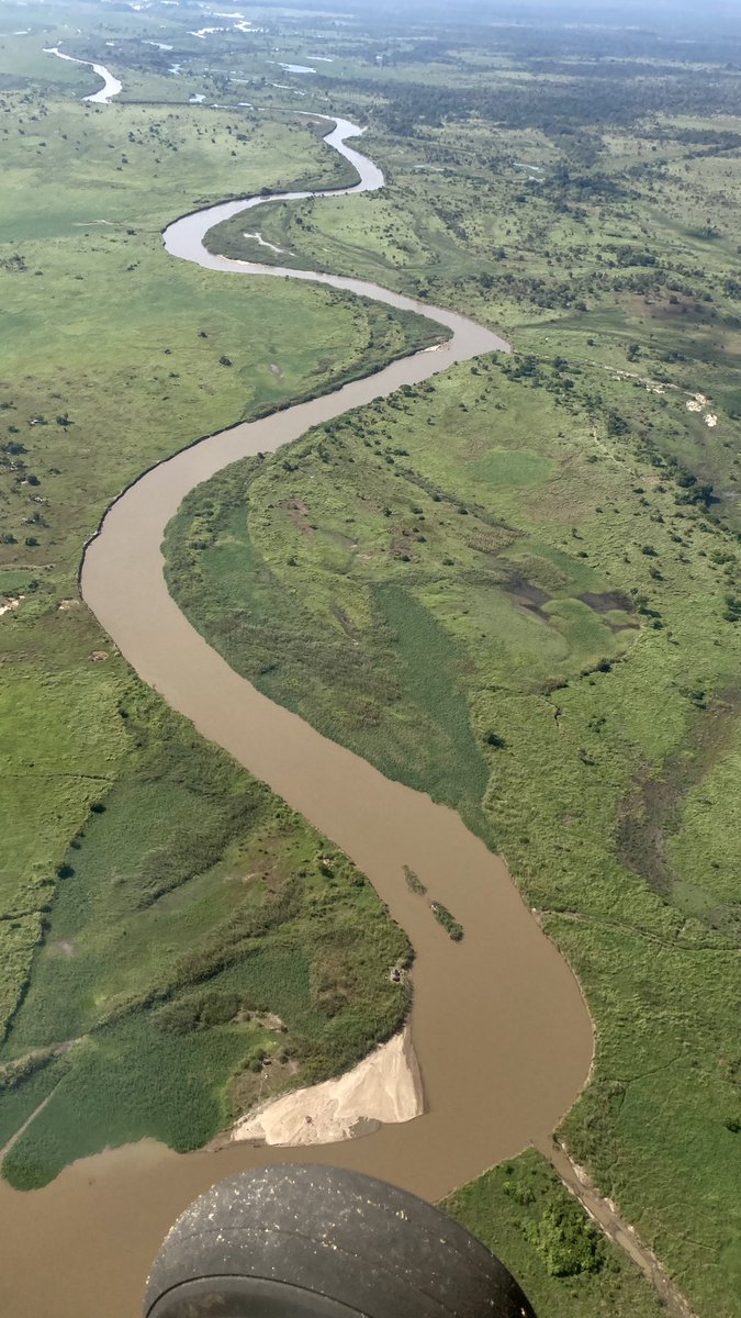 David Araújo tweet media