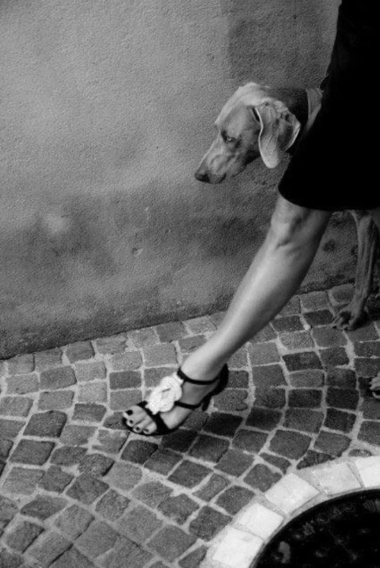 so_contrary's tweet photo. Véronique Thomazo https://t.co/5vvbaCjvKr