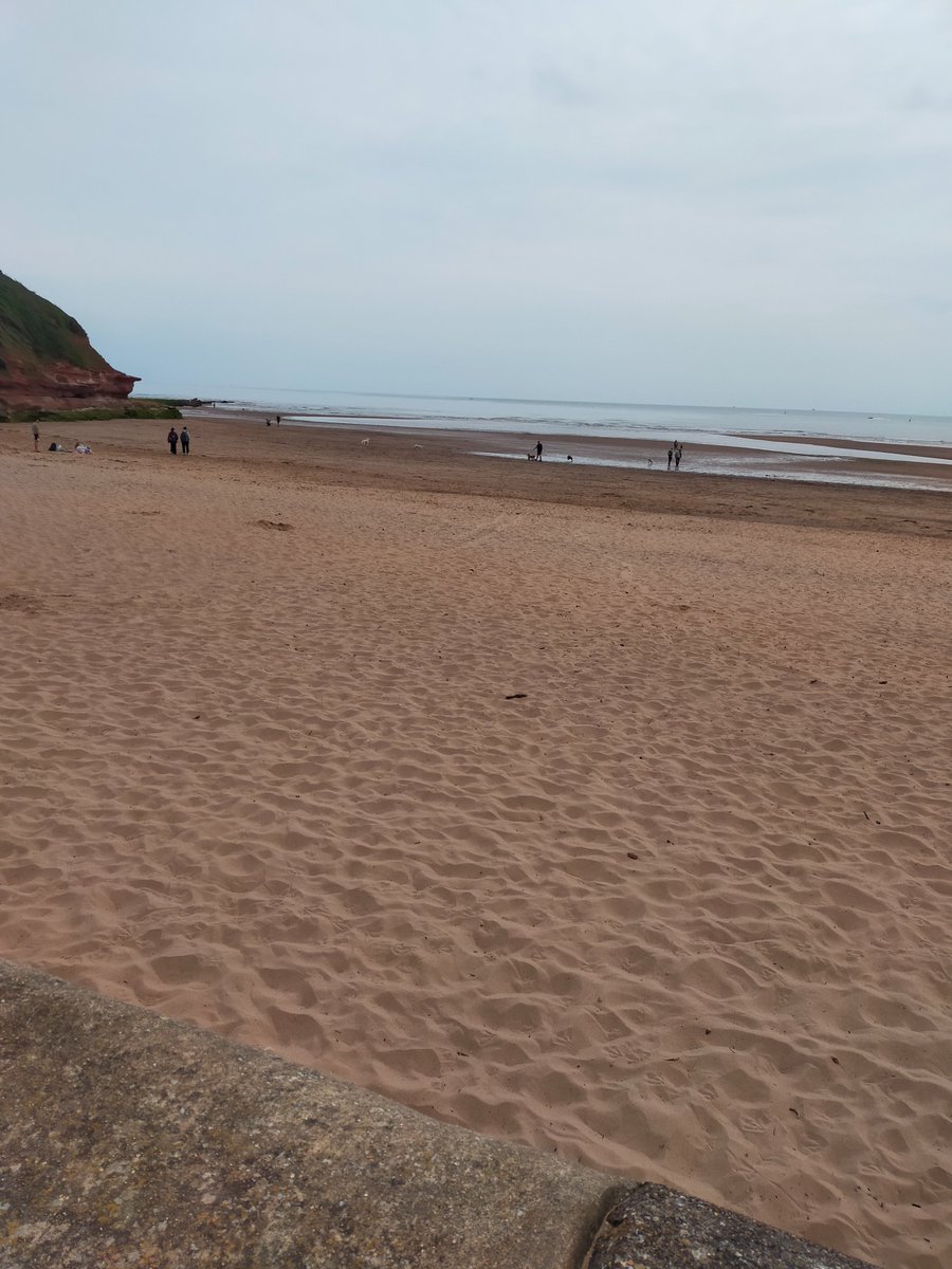 elaineccline's tweet photo. We enjoyed our walk down by #OrcombePoint #Exmouth today. https://t.co/vr6omuMwA8