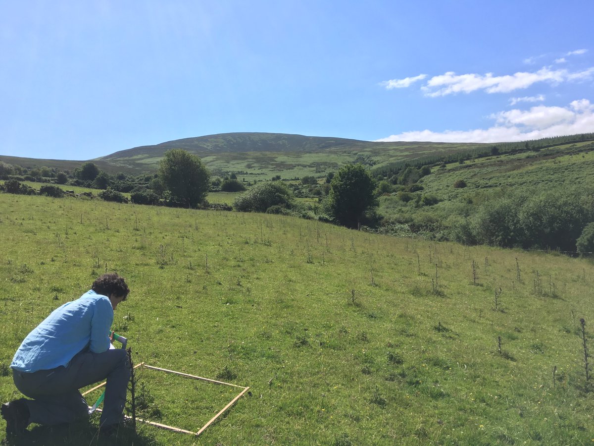 Fantastic opportunity with <a href="/teagasc/">Teagasc</a>  <a href="/TeagascEnviron/">Teagasc Environment</a> in Wexford, Ireland.
Farmland Biodiversity Researcher (permanent) 
Closing Date: 26/05/2023
topjobs-teagasc.thehirelab.com/LiveJobs/JobAp…