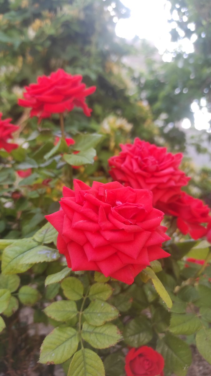 a_m__alone's tweet photo. @mohammad_sttn1 https://t.co/5nbGw1Xex5