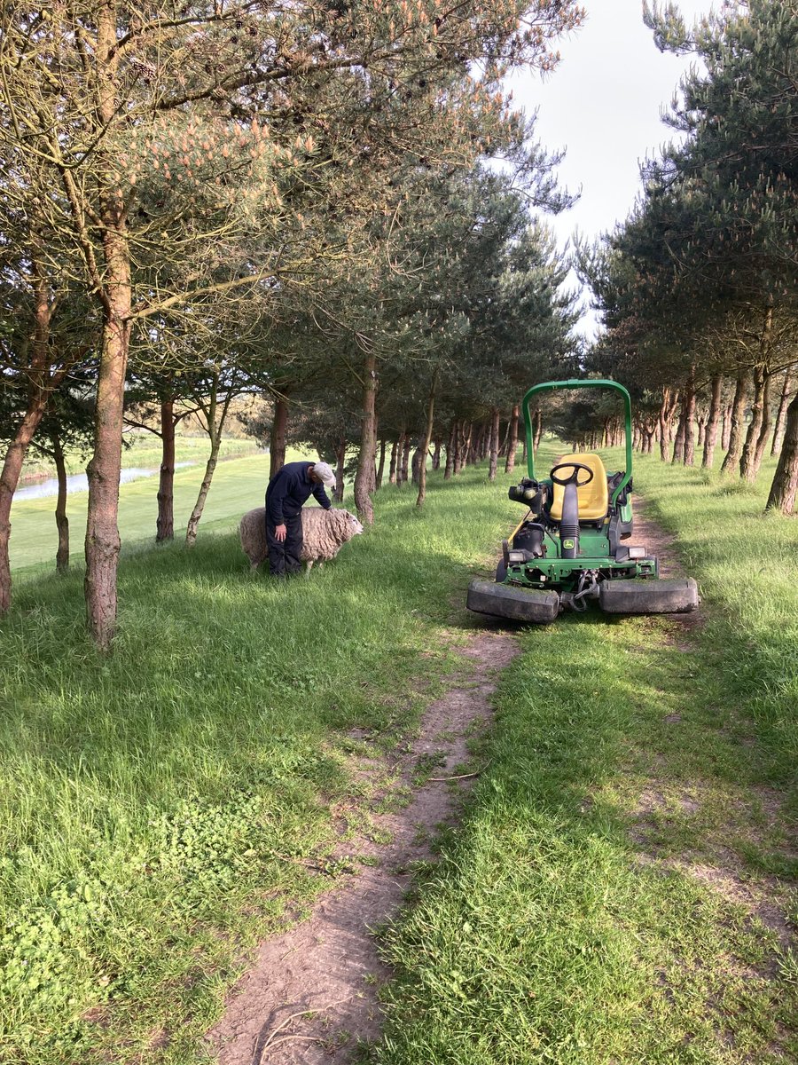 Stephen Curtis tweet media