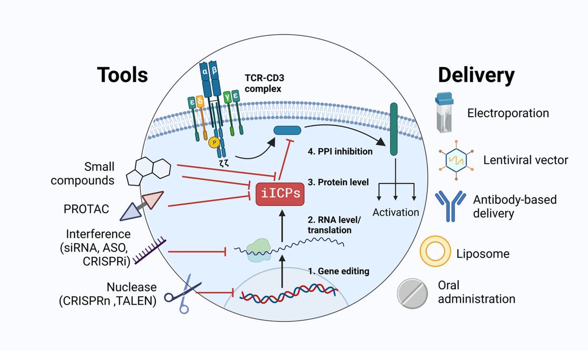 Journal for ImmunoTherapy of Cancer tweet media