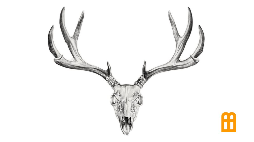 Estudio Bitcoin tweet media