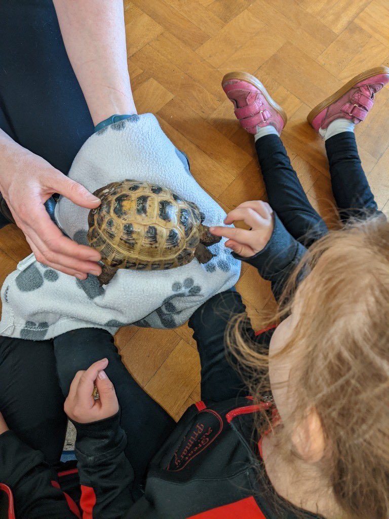 Part 2…🐍 🐢🪳🪲 Class 1 & 2
@lionlearners_EA #rescueanimals #animalcare #animalencounter