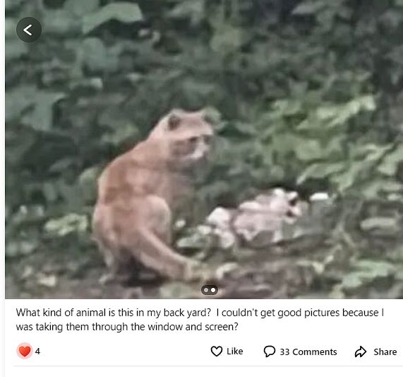 Chris Juedemann tweet media