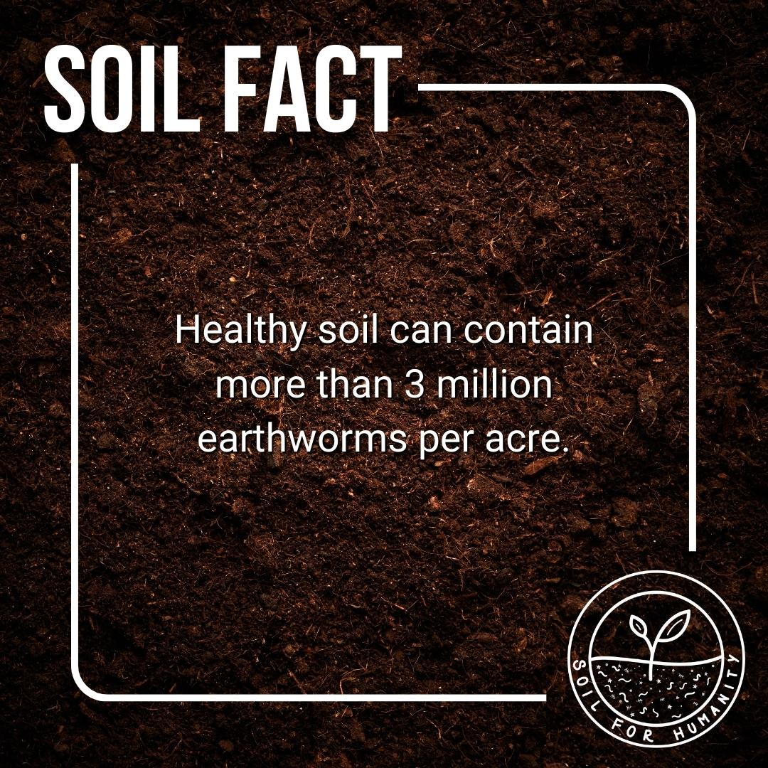 soilforhumanity's tweet photo. #DYK #SoilFact -> #HealthySoil can contain over 3 million earthworms per acre!

Soil is truly teeming with life from microscopic microbes to invertebrates and everything in between.

Visit our blog to read more about #SoilHealth -> https://t.co/ollvnJUgyF https://t.co/Gv41M0Je7k
