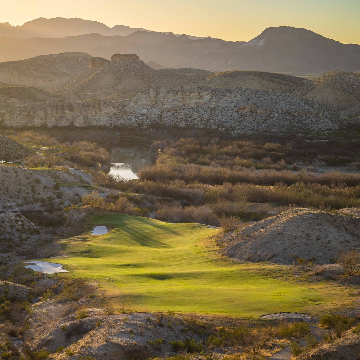 Open Links Golf tweet media