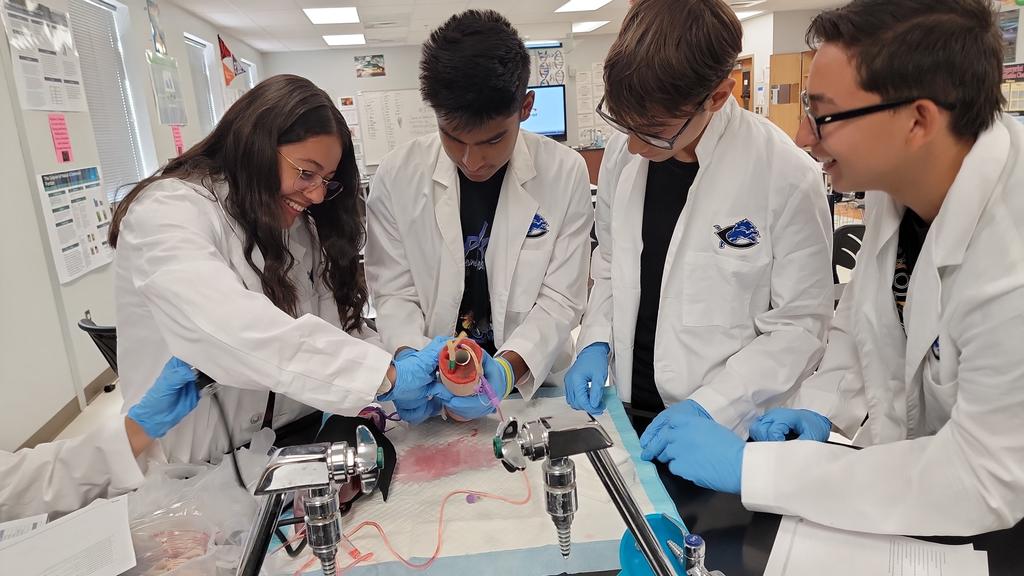 Clint High School STEM tweet media