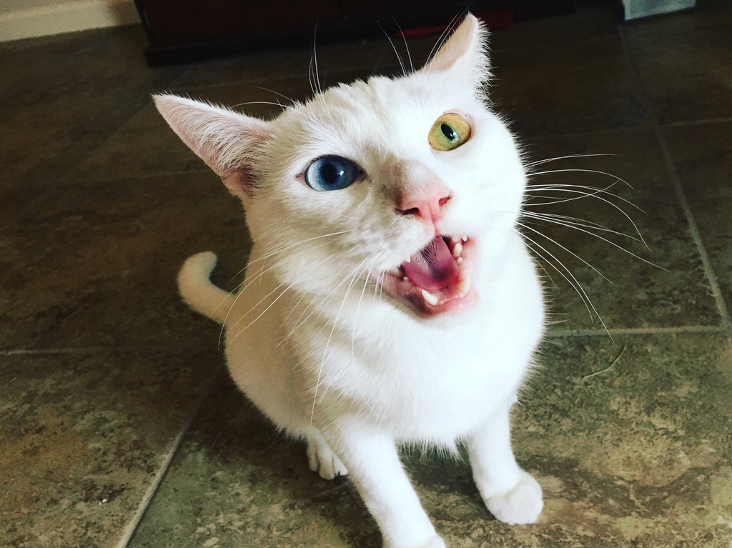 Ulla Britta by /u/Noticedwedding54