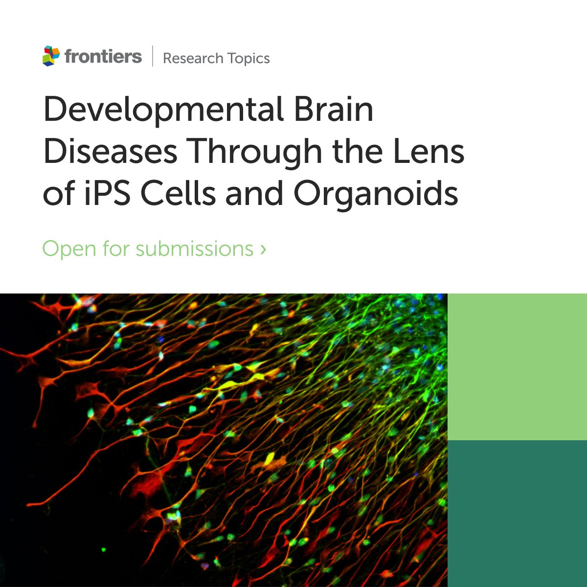 🚨New Research Topic🚨

We are excited to announce a new Research Topic on Developmental Brain Diseases Through the Lens of iPS Cells and Organoids

Led by Drs. Gabriel G Haddad, Alysson Renato Muotri and Fred H Gage

 ➡️ Learn more here: fro.ntiers.in/sMHZ
