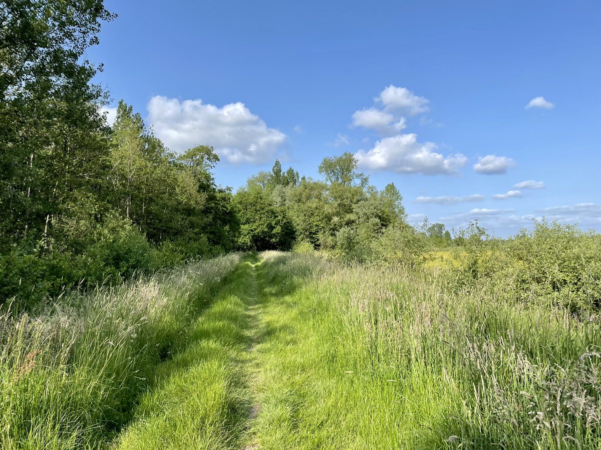 Hilde Backus tweet media