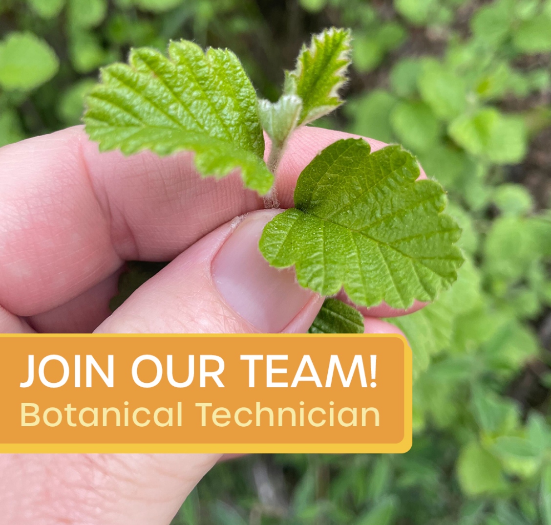 #HIRING @TheodorePayne, our #LIVE grantee, is looking for a candidate with botanical expertise to assist in its conservation programs and initiatives. Click here to apply for the role: l8r.it/to2a 🌱💚