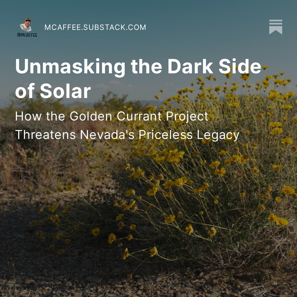 “As we stand on the precipice of a climate crisis, it's imperative to underscore that our future should not merely be a shift in the type of resources we exploit, but a shift in our consciousness.”