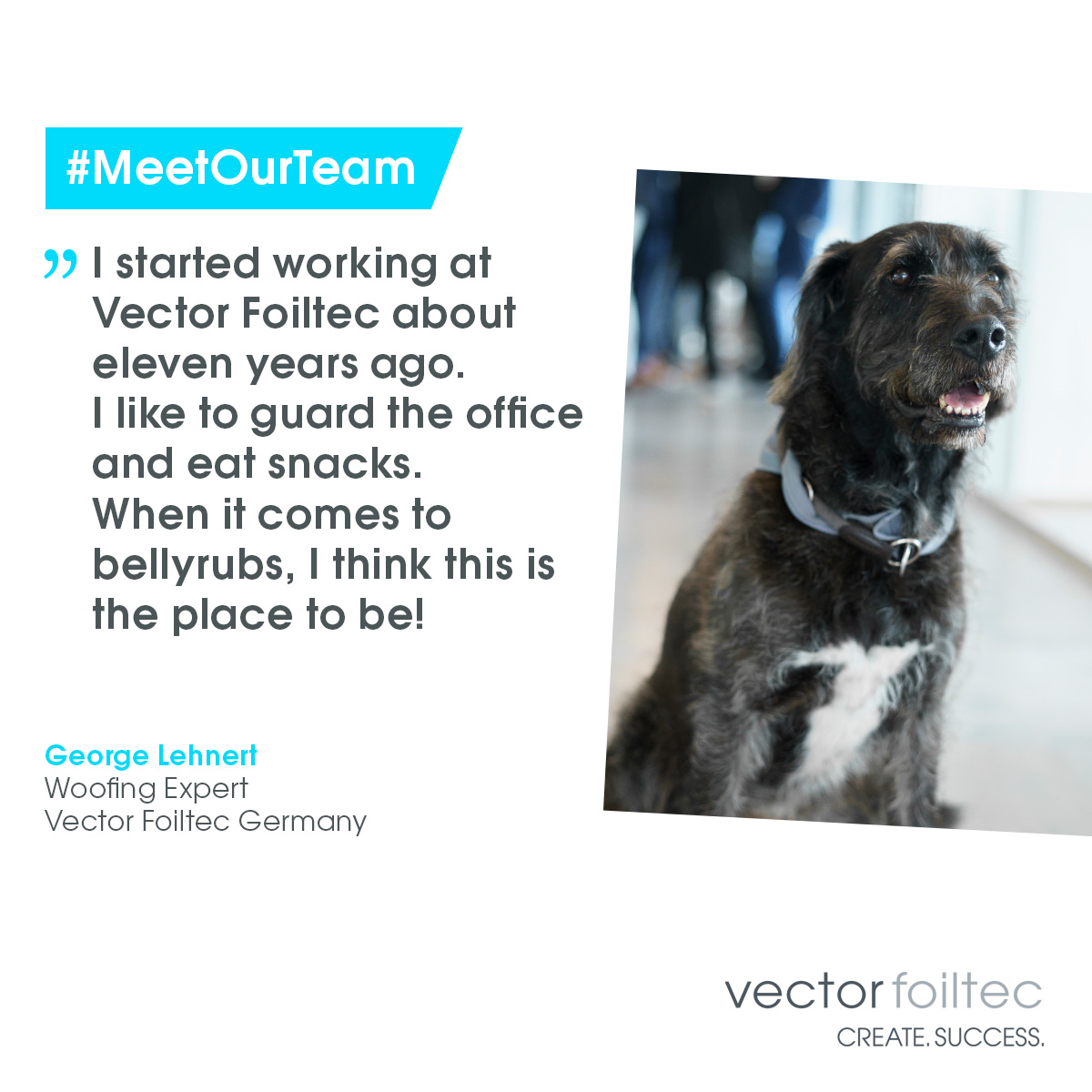 vectorfoiltec's tweet photo. Meet George Lehnert, Woofing Expert and a popular member of our team! George dreams of having a bone-shaped canopy someday under which he can nap. Swipe to see George’s Dream, the “Knochopy/Bone’opy”.

Drawing by Annika Janßen

#VectorFoiltec #Texlon #ETFE #meetourteam #officedog https://t.co/RXEZkdC9EQ