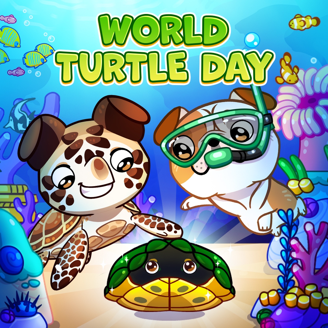 🐢 Happy World Turtle Day! 🐢

#DogGame #WorldTurtleDay