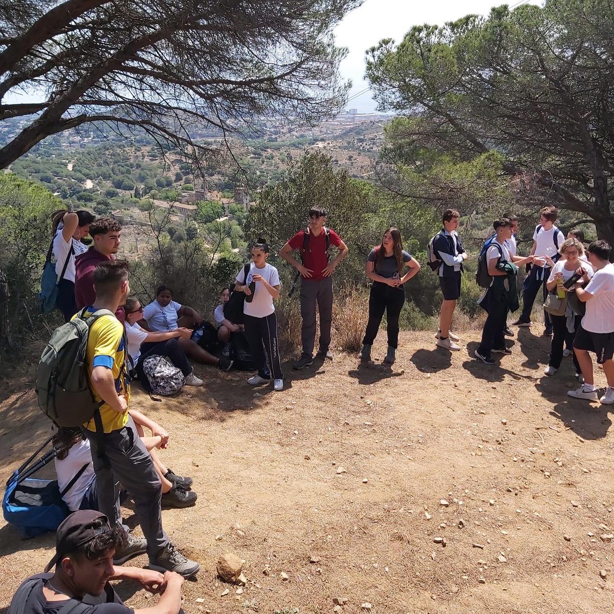 Col·legi Cami tweet media