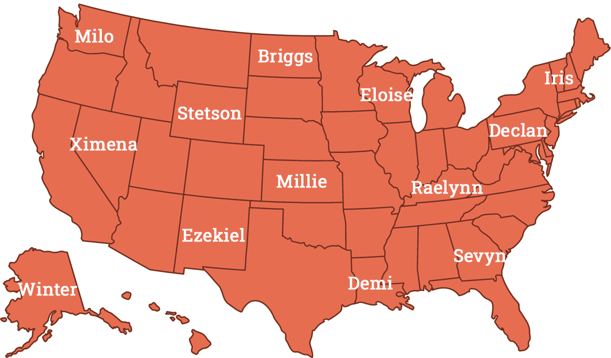 NamerologyTalk's tweet photo. These names define your state's baby name style
https://t.co/GxTI5WOJeM https://t.co/7BeQ1wRymg