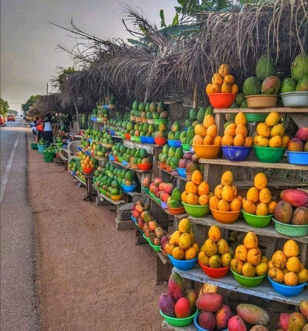 AdesinaAyandok1's tweet photo. #AgbadovolutionDay
BatKash National Farmer Forum will be celebrating the AGBADOVOLUTION DAY on Thursday 25th.
We are inviting all Nigeria Rural Farmers across the 36 states including Abuja to join us at the UNITY FOUNTAIN ABUJA to celebrate the well deserved victory of... https://t.co/gjVw08xMab