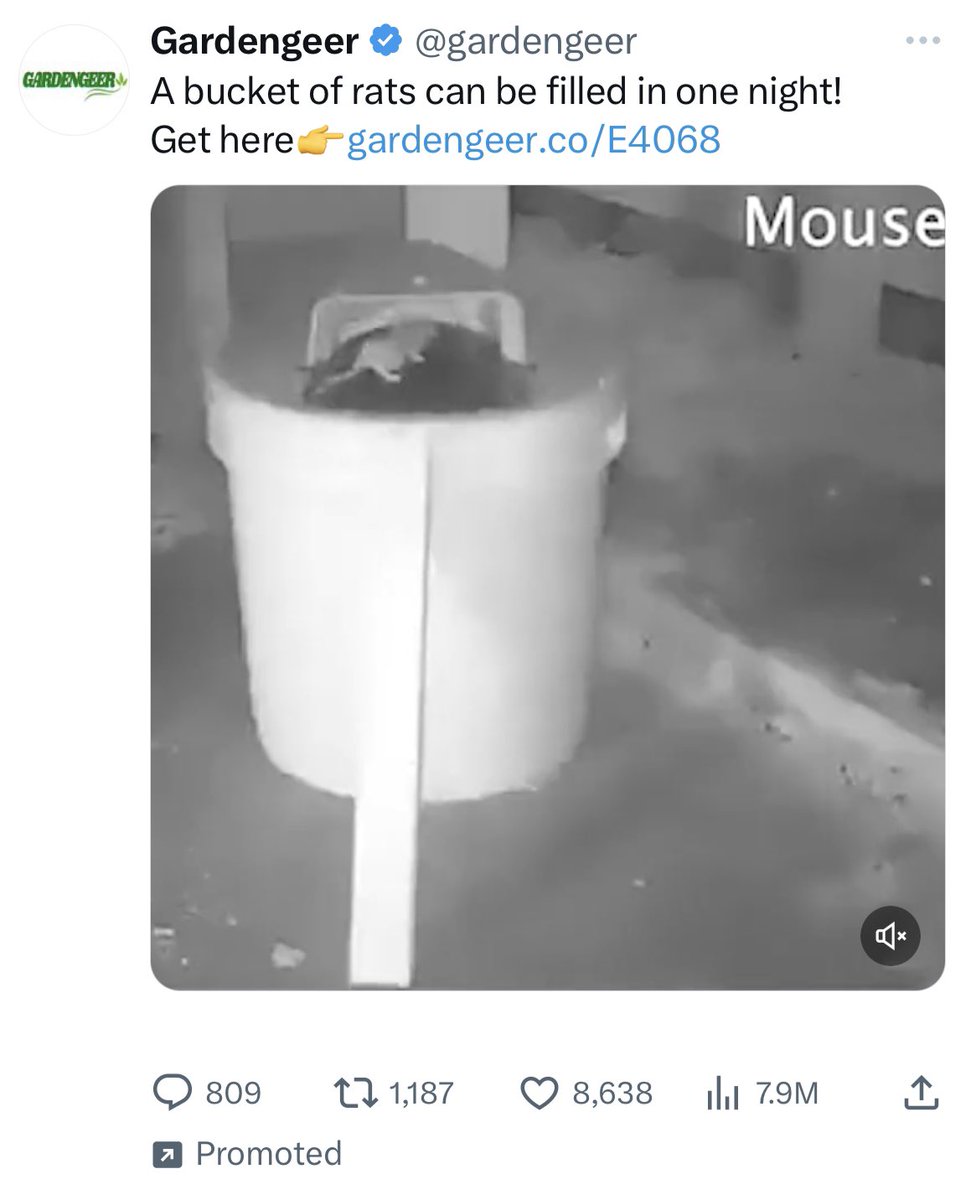 As if you needed another illustration of Twitter’s catastrophic fall, I give you…ads for rat traps.