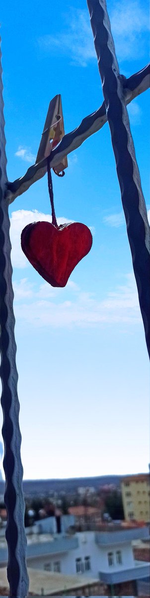 Çıkardım vicdanımı gün yüzüne, kendi ellerimle yıkadım. Sonra astım pencerenin korkuluklarına.Yapmalı bunu herkes, kendini vicdanından asmalı gözaltına alıp sorguya çekmeli. ağzından çıkan her sözcüğü vicdan terazisinde tartmalı. Sevmeli bütün canlıları sevebilmeli bütün renkleri